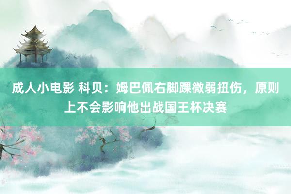 成人小电影 科贝：姆巴佩右脚踝微弱扭伤，原则上不会影响他出战国王杯决赛