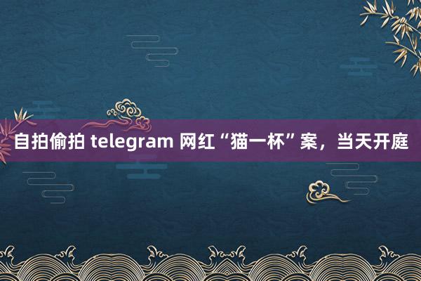 自拍偷拍 telegram 网红“猫一杯”案，当天开庭