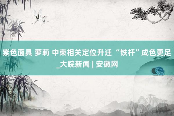 紫色面具 萝莉 中柬相关定位升迁 “铁杆”成色更足_大皖新闻 | 安徽网