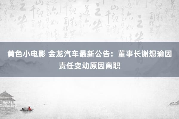 黄色小电影 金龙汽车最新公告：董事长谢想瑜因责任变动原因离职