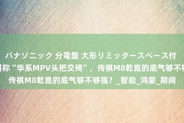 パナソニック 分電盤 大形リミッタースペース付 露出・半埋込両用形 堪称“华系MPV头把交椅”，传祺M8乾崑的底气够不够强？_智能_鸿蒙_期间