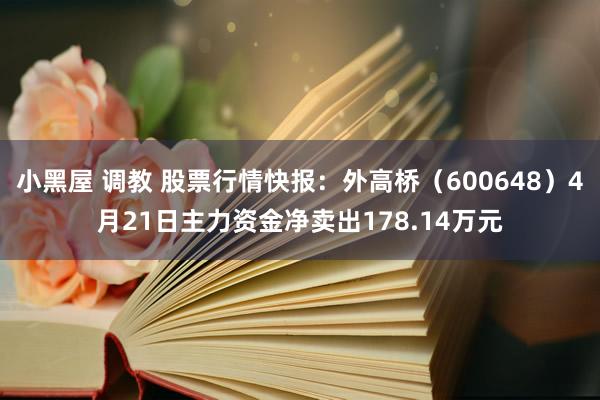 小黑屋 调教 股票行情快报：外高桥（600648）4月21日主力资金净卖出178.14万元