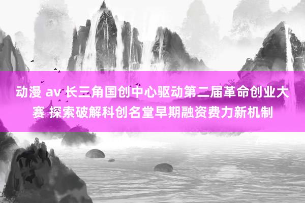 动漫 av 长三角国创中心驱动第二届革命创业大赛 探索破解科创名堂早期融资费力新机制