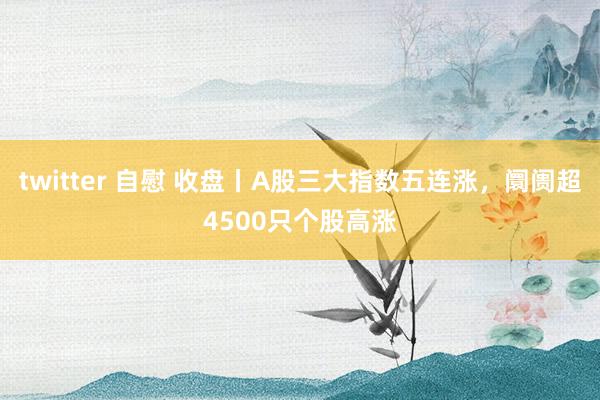 twitter 自慰 收盘丨A股三大指数五连涨，阛阓超4500只个股高涨