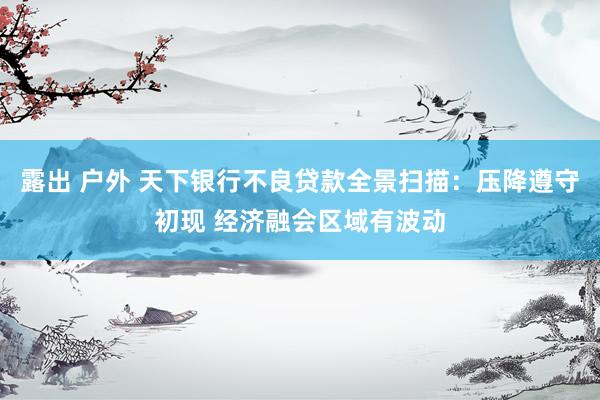 露出 户外 天下银行不良贷款全景扫描：压降遵守初现 经济融会区域有波动