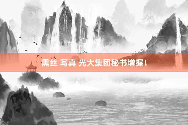 黑丝 写真 光大集团秘书增握！