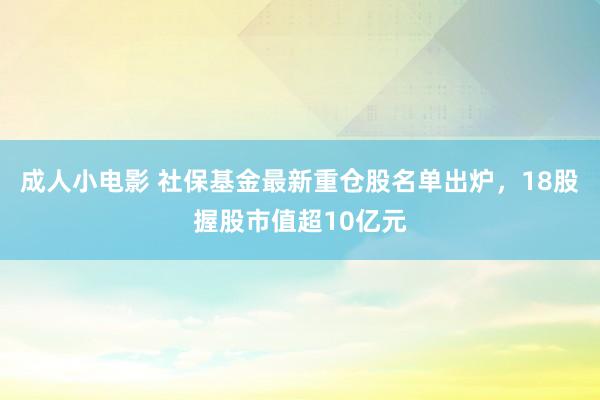 成人小电影 社保基金最新重仓股名单出炉，18股握股市值超10亿元