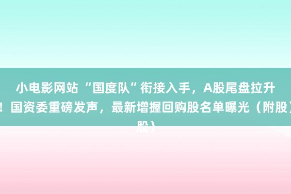 小电影网站 “国度队”衔接入手，A股尾盘拉升！国资委重磅发声，最新增握回购股名单曝光（附股）
