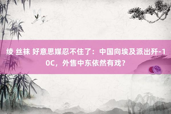 绫 丝袜 好意思媒忍不住了：中国向埃及派出歼-10C，外售中东依然有戏？