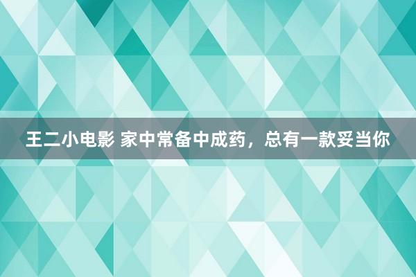 王二小电影 家中常备中成药，总有一款妥当你