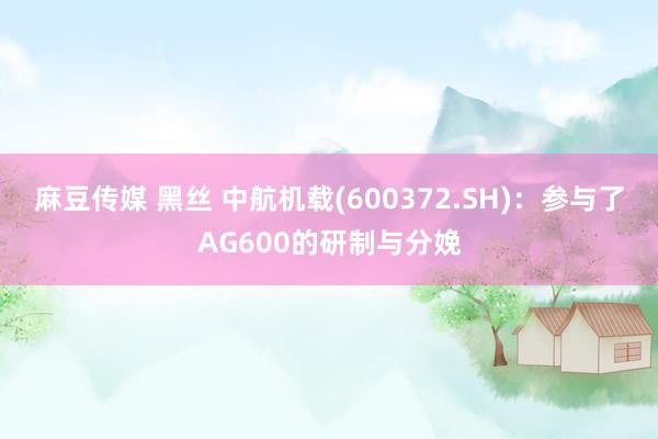麻豆传媒 黑丝 中航机载(600372.SH)：参与了AG600的研制与分娩