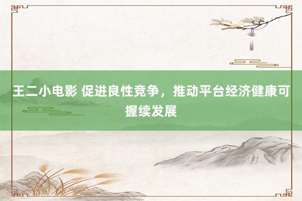 王二小电影 促进良性竞争，推动平台经济健康可握续发展
