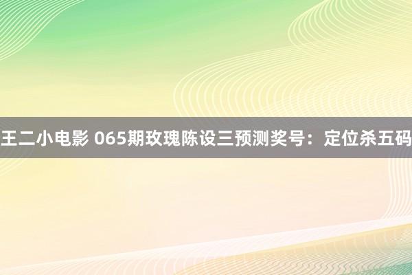 王二小电影 065期玫瑰陈设三预测奖号：定位杀五码