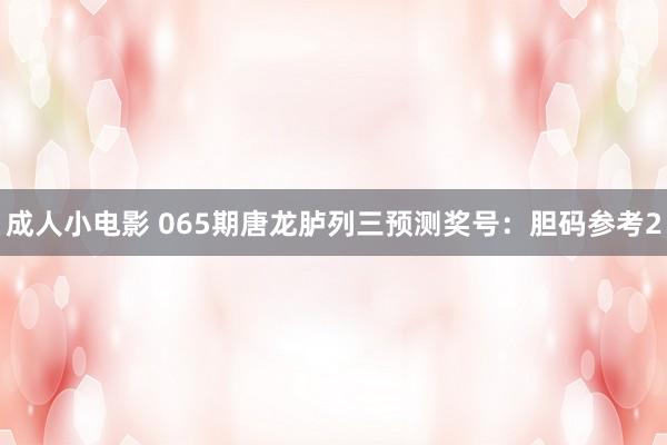 成人小电影 065期唐龙胪列三预测奖号：胆码参考2