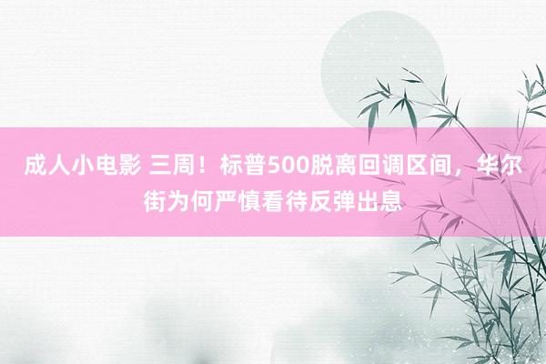 成人小电影 三周！标普500脱离回调区间，华尔街为何严慎看待反弹出息