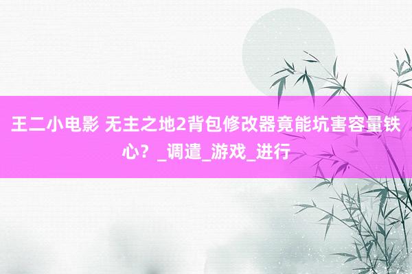 王二小电影 无主之地2背包修改器竟能坑害容量铁心？_调遣_游戏_进行