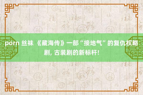 porn 丝袜 《藏海传》一部“接地气”的复仇权略剧， 古装剧的新标杆!
